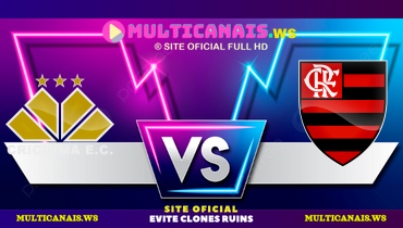 Assistir Criciúma x Flamengo ao vivo online 04/12/2024