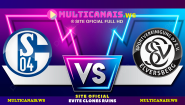 Assistir Schalke 04 x Elversberg ao vivo online 18/05/2025
